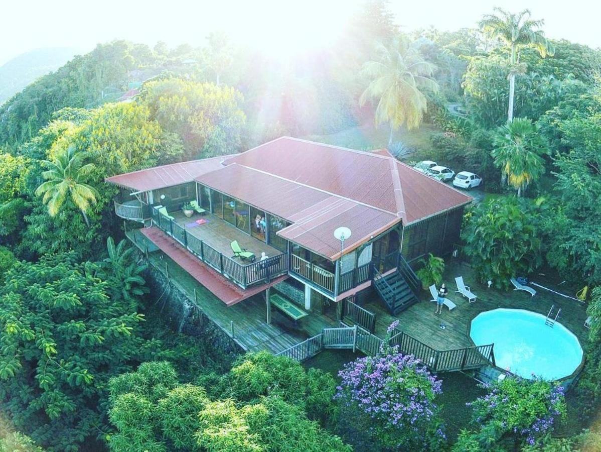 Villa Du Jardin Botanique, Ex. Propriete Coluche 德赛 外观 照片