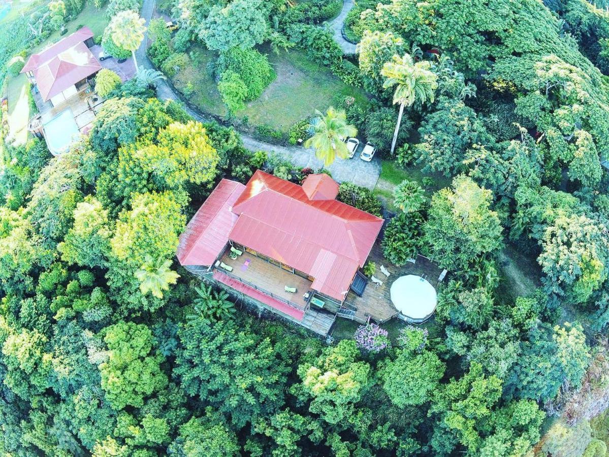 Villa Du Jardin Botanique, Ex. Propriete Coluche 德赛 外观 照片
