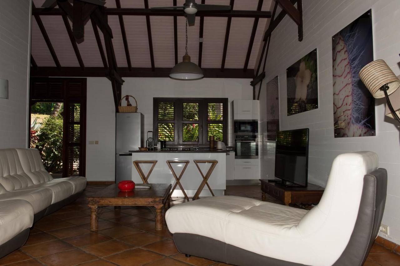 Villa Du Jardin Botanique, Ex. Propriete Coluche 德赛 外观 照片
