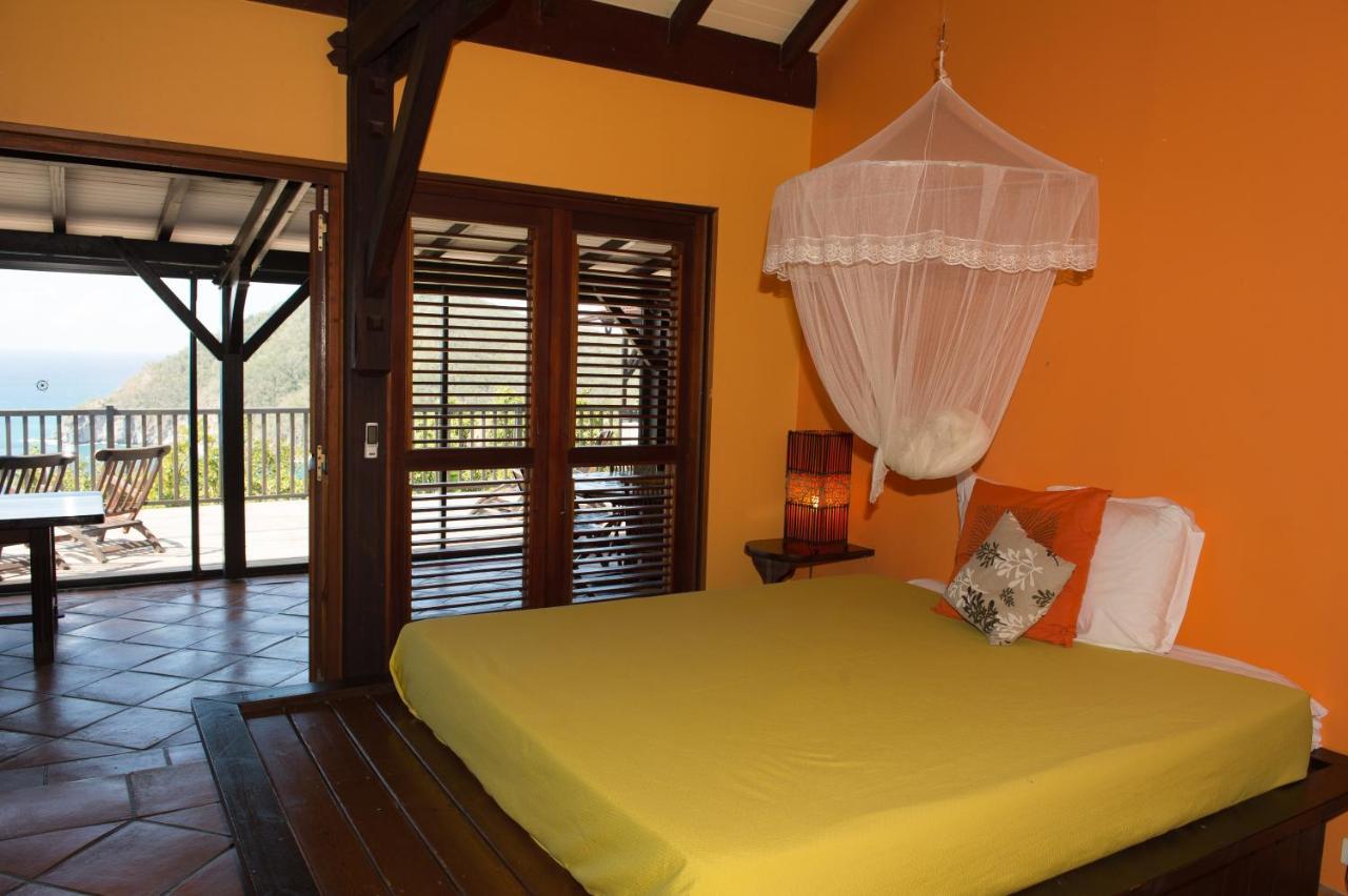 Villa Du Jardin Botanique, Ex. Propriete Coluche 德赛 外观 照片