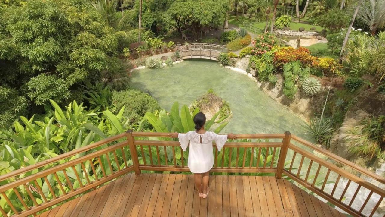 Villa Du Jardin Botanique, Ex. Propriete Coluche 德赛 外观 照片