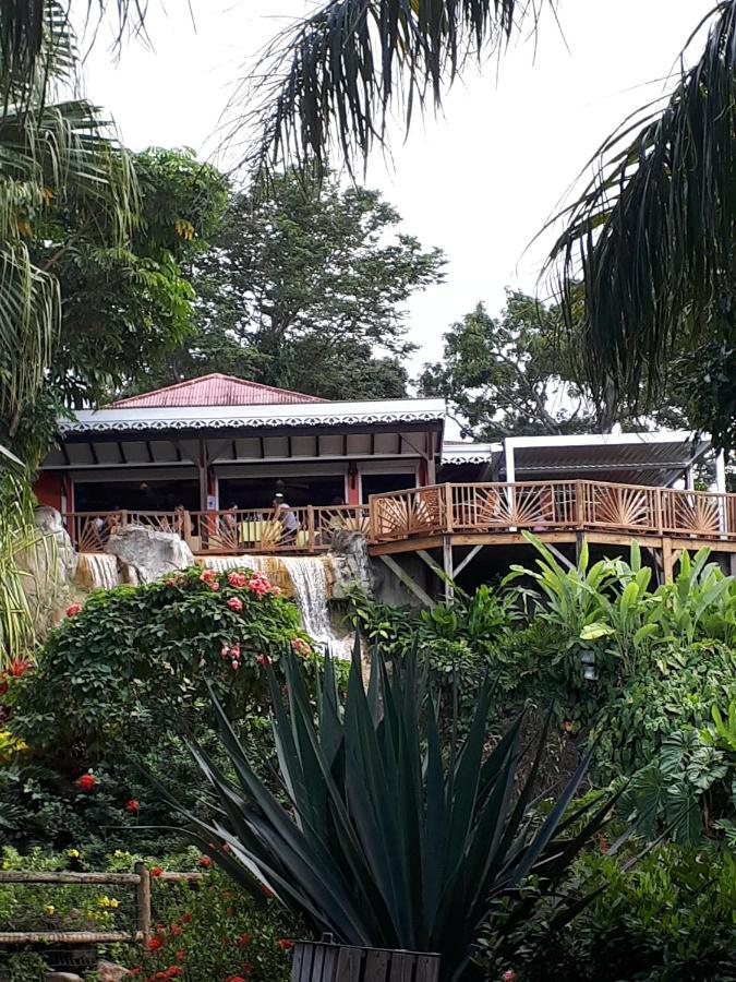 Villa Du Jardin Botanique, Ex. Propriete Coluche 德赛 外观 照片