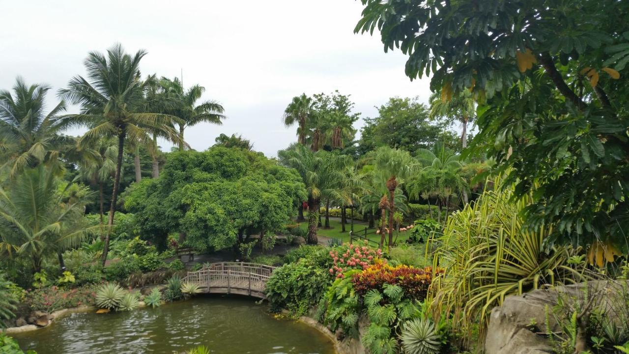 Villa Du Jardin Botanique, Ex. Propriete Coluche 德赛 外观 照片
