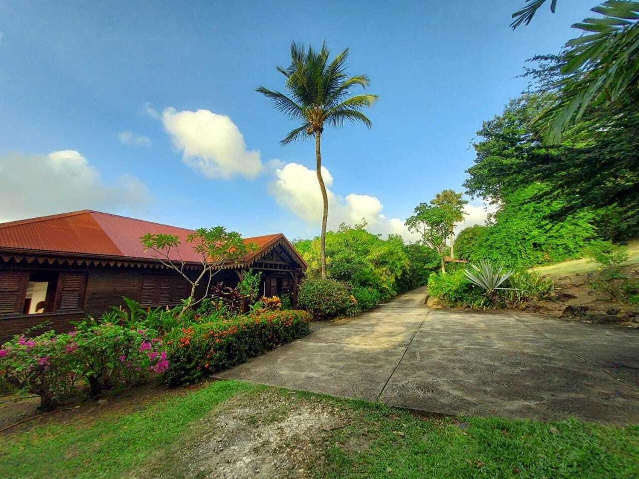 Villa Du Jardin Botanique, Ex. Propriete Coluche 德赛 外观 照片