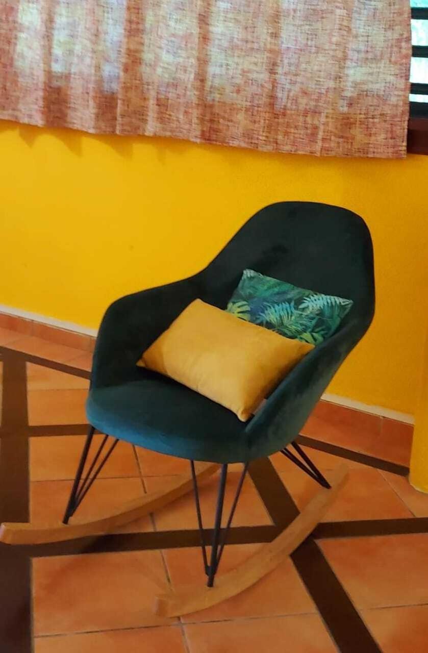 Villa Du Jardin Botanique, Ex. Propriete Coluche 德赛 外观 照片