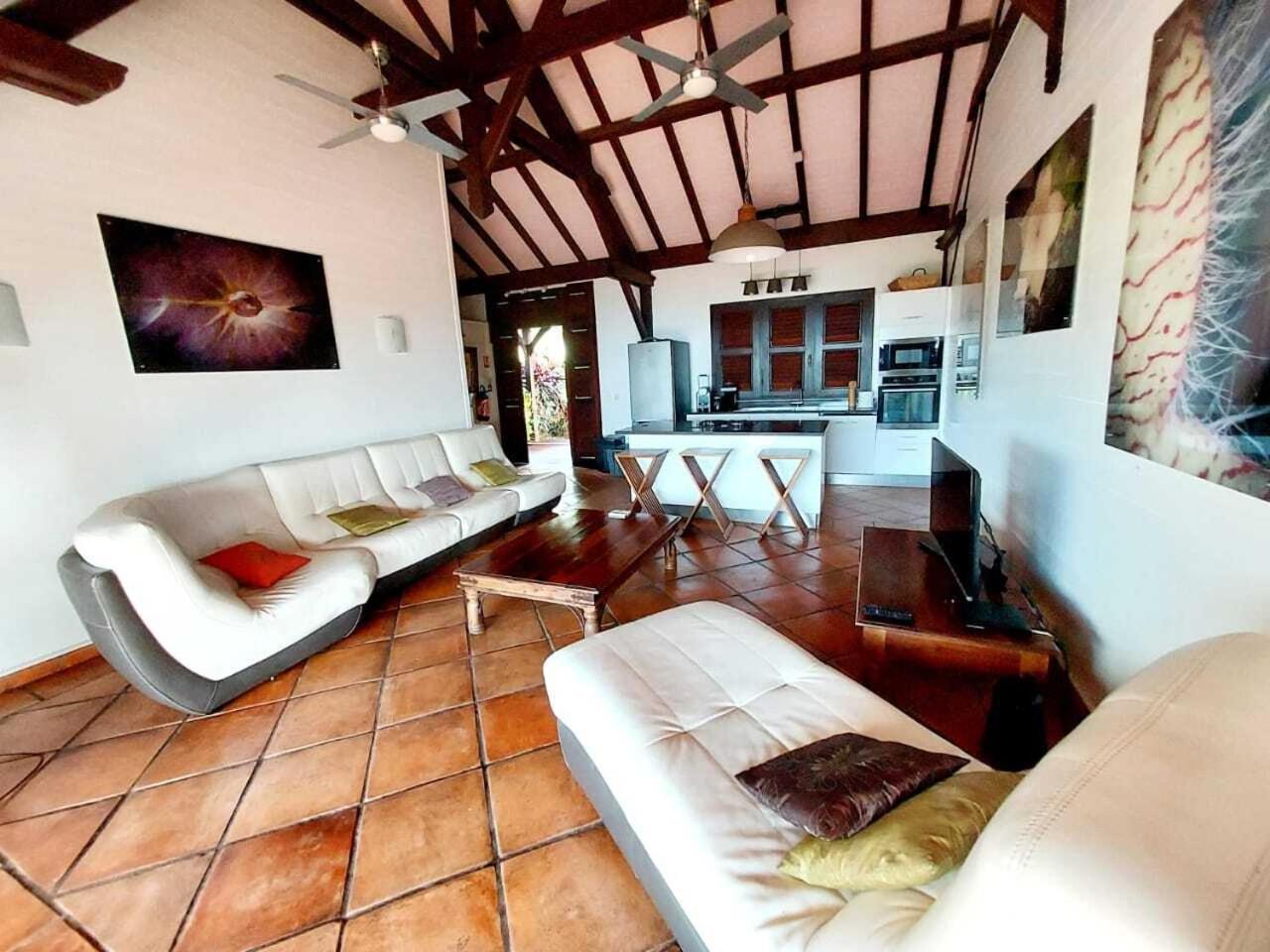 Villa Du Jardin Botanique, Ex. Propriete Coluche 德赛 外观 照片